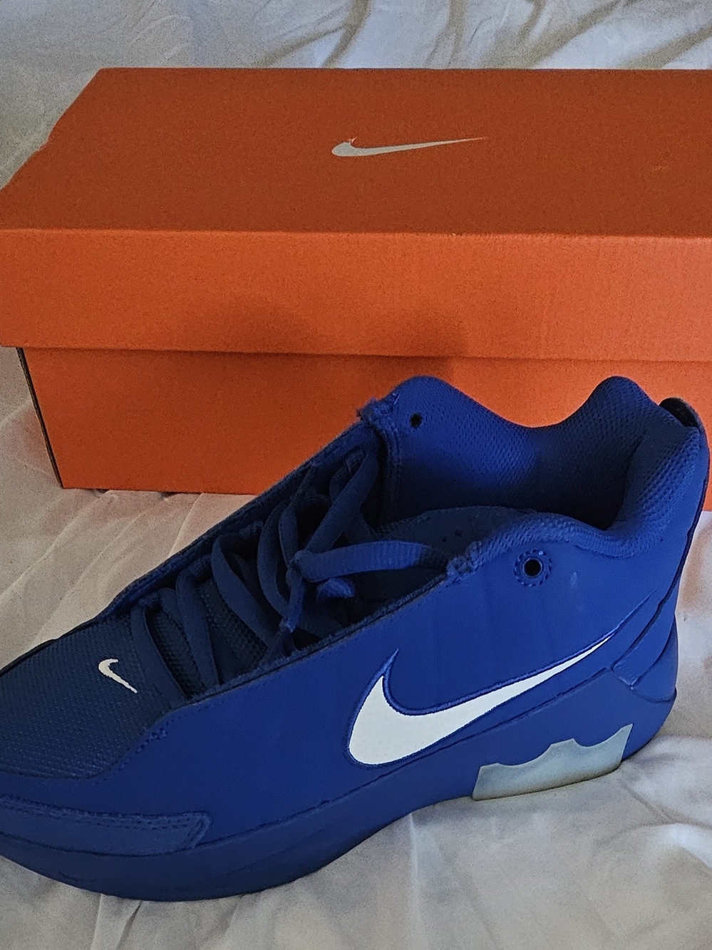 Nike Blue Low-Top Sneaker with White Swoosh